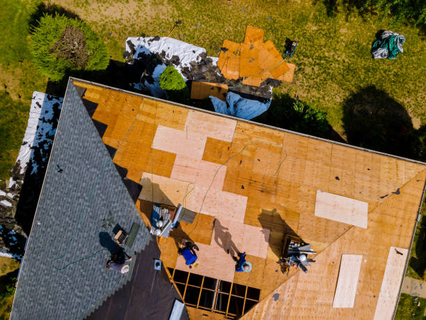 Best Metal Roofing Contractor  in Lake Ripley, WI