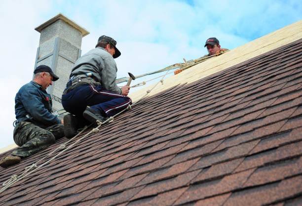 Best Storm Damage Roof Repair  in Lake Ripley, WI